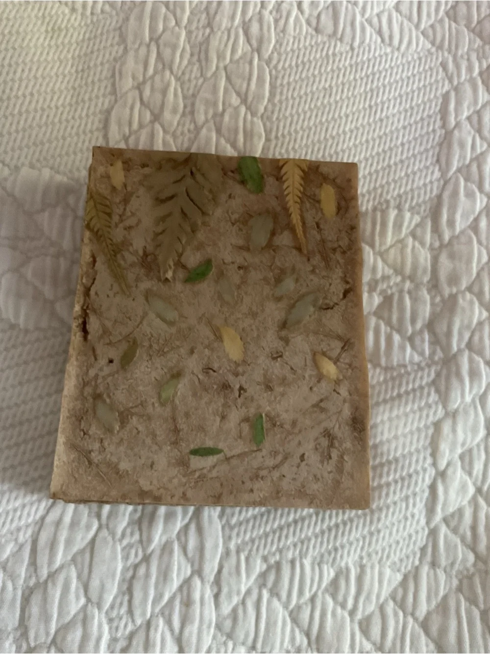 Natural Cork Double Picture Frame with Green Fern Accent